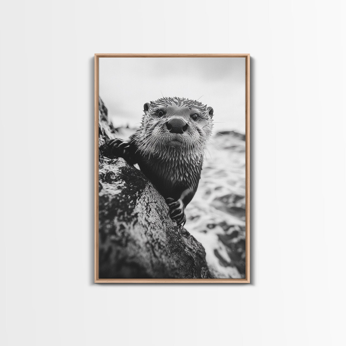 Curious Otter, Coastal Wildlife, Black and White, Animal Photography, Framed Canvas Print, Bathroom Wall Art, Nature Lover Gift