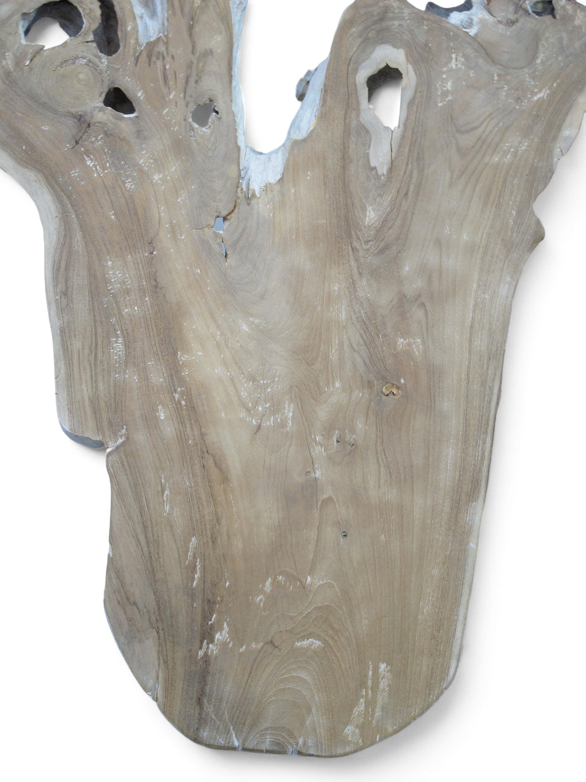 Organic Teak Root Wall Art Sculpture – Natural Wood Statement Piece for Living Room & Entryway