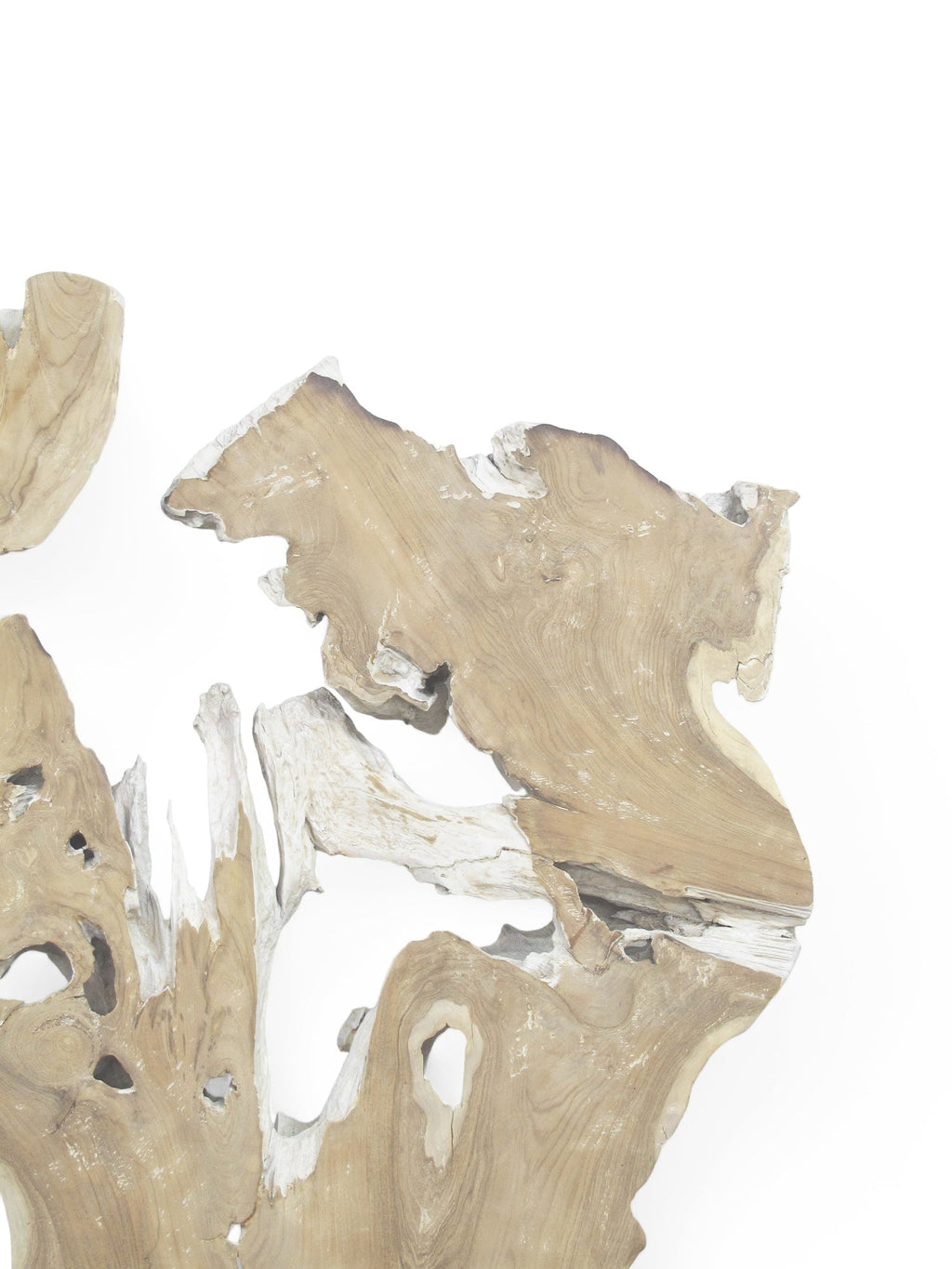 Organic Teak Root Wall Art Sculpture – Natural Wood Statement Piece for Living Room & Entryway