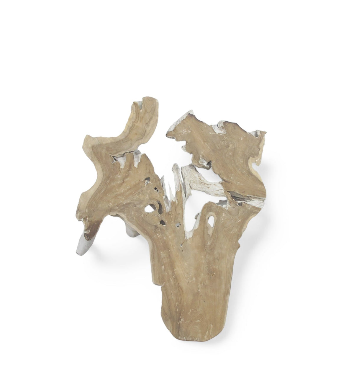 Organic Teak Root Wall Art Sculpture – Natural Wood Statement Piece for Living Room & Entryway