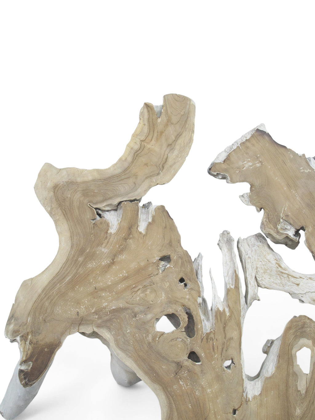 Organic Teak Root Wall Art Sculpture – Natural Wood Statement Piece for Living Room & Entryway