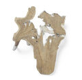 Organic Teak Root Wall Art Sculpture – Natural Wood Statement Piece for Living Room & Entryway