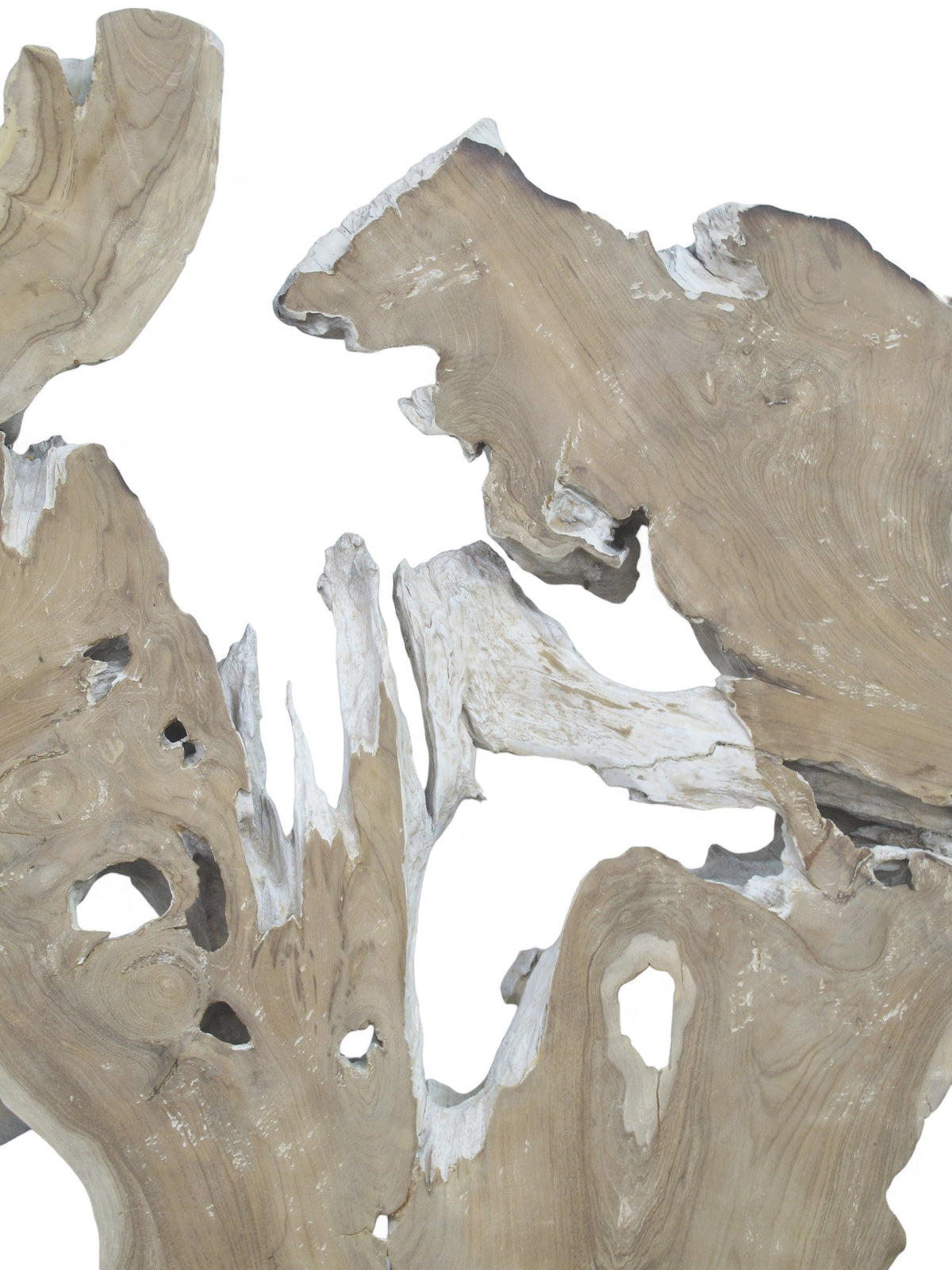 Organic Teak Root Wall Art Sculpture – Natural Wood Statement Piece for Living Room & Entryway